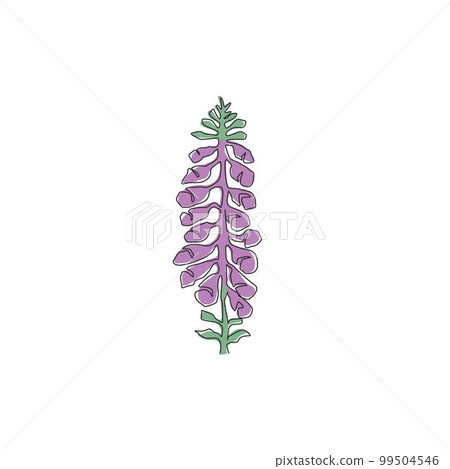 Single one line drawing beauty fresh foxglove for garden logo. Decorative digitalis purpurea flower concept for home wall decor poster art print. Modern continuous line draw design vector illustration Single one line drawing beauty fresh foxglove for garden logo. Decorative digitalis purpurea flower concept for home wall decor poster art print. Modern continuous line draw design vector illustration 99504546