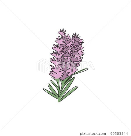 Free Photos - Stunning Lavender Flowers Drawing Vertical Template Or Card  Design. | FreePixel.com