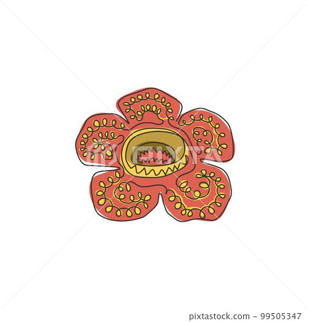 One continuous line drawing beauty fresh corpse lily for home wall art decor poster print. Decorative rafflesia arnoldii flower concept for national park. Single line draw design vector illustration One continuous line drawing beauty fresh corpse lily for home wall art decor poster print. Decorative rafflesia arnoldii flower concept for national park. Single line draw design vector illustration 99505347