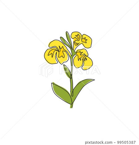 One continuous line drawing beauty fresh canna for garden logo. Printable decorative canna lily flower concept for home decor wall art poster print. Modern single line draw design vector illustration One continuous line drawing beauty fresh canna for garden logo. Printable decorative canna lily flower concept for home decor wall art poster print. Modern single line draw design vector illustration 99505387