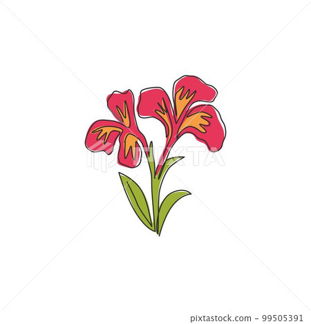 Single continuous line drawing of beauty fresh canna for garden logo. Printable poster decorative canna lily flower concept for wedding invitation card. Modern one line draw design vector illustration Single continuous line drawing of beauty fresh canna for garden logo. Printable poster decorative canna lily flower concept for wedding invitation card. Modern one line draw design vector illustration 99505391