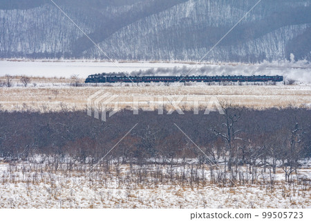 Steam locomotive Fuyu no Shitsugen runs through the snowy Kushiro Marsh 99505723