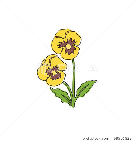 One continuous line drawing beauty fresh violet hybrid plant for home art wall decor print poster. Printable decorative pansy flower for green park. Single line draw design vector graphic illustration One continuous line drawing beauty fresh violet hybrid plant for home art wall decor print poster. Printable decorative pansy flower for green park. Single line draw design vector graphic illustration 99505822