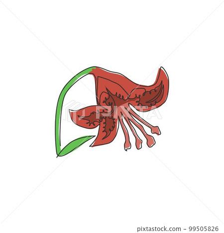Single one line drawing of beauty fresh lilium for garden logo. Printable decorative tiger lily flower for wall art home decor poster print. Modern continuous line draw design vector illustration Single one line drawing of beauty fresh lilium for garden logo. Printable decorative tiger lily flower for wall art home decor poster print. Modern continuous line draw design vector illustration 99505826