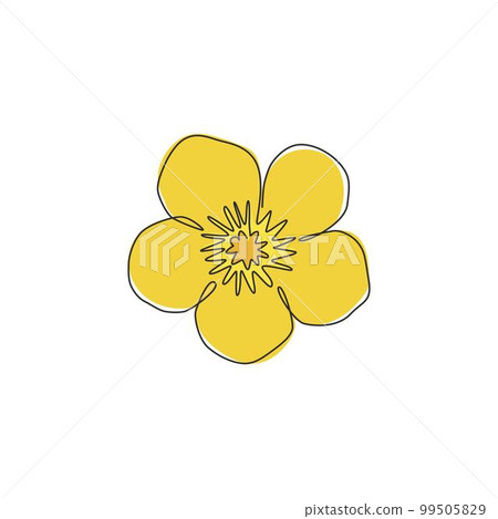 One continuous line drawing beauty buttercup fresh top view for home decol wall poster. Printable decorative ranunculus flower for green park icon. Modern single line draw design vector illustration One continuous line drawing beauty buttercup fresh top view for home decol wall poster. Printable decorative ranunculus flower for green park icon. Modern single line draw design vector illustration 99505829