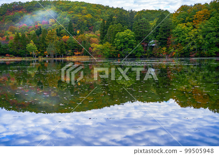 觀音沼森林公園秋景 99505948