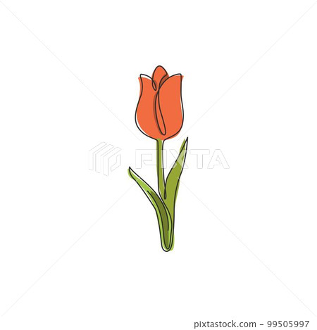 One continuous line drawing beauty fresh tulip for logo. Printable decorative Holland nationality flower concept home wall decor poster art. Modern single line draw design vector graphic illustration 99505997