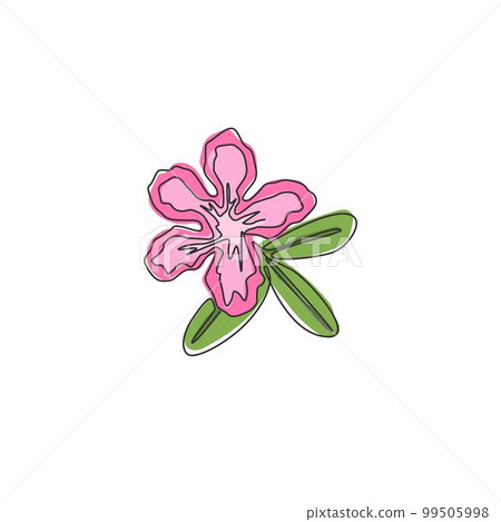 One single line drawing of fresh beauty adenium for garden logo. Printable poster decorative desert rose flowers concept home wall decor. Modern continuous line draw design vector graphic illustration One single line drawing of fresh beauty adenium for garden logo. Printable poster decorative desert rose flowers concept home wall decor. Modern continuous line draw design vector graphic illustration 99505998
