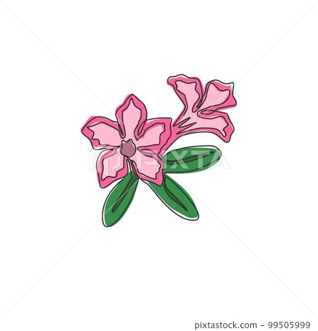 One continuous line drawing of fresh beauty adenium for garden logo. Printable poster decorative desert rose flowers concept home wall decor. Modern single line draw design graphic vector illustration One continuous line drawing of fresh beauty adenium for garden logo. Printable poster decorative desert rose flowers concept home wall decor. Modern single line draw design graphic vector illustration 99505999