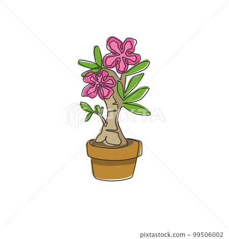 One single line drawing of fresh beauty potted adenium for garden logo. Printable poster decorative desert rose flower concept for wall home decor. Continuous line draw design vector illustration One single line drawing of fresh beauty potted adenium for garden logo. Printable poster decorative desert rose flower concept for wall home decor. Continuous line draw design vector illustration 99506002
