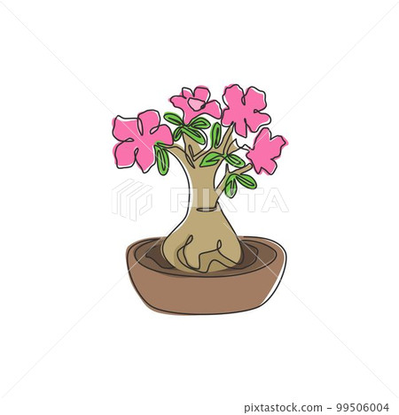 Single continuous line drawing fresh beauty potted adenium for garden logo. Printable poster decorative desert rose flower concept park home wall decor. Modern one line draw design vector illustration Single continuous line drawing fresh beauty potted adenium for garden logo. Printable poster decorative desert rose flower concept park home wall decor. Modern one line draw design vector illustration 99506004