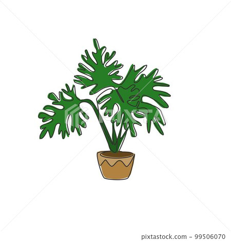 One continuous line drawing of potted tropical leaf plant. Printable decorative philodendron selloum houseplant concept for home wall decor. Modern single line draw design vector graphic illustration One continuous line drawing of potted tropical leaf plant. Printable decorative philodendron selloum houseplant concept for home wall decor. Modern single line draw design vector graphic illustration 99506070