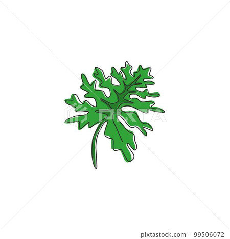 Single continuous line drawing tropical leaf plant. Printable decorative philodendron selloum houseplant concept for home wall decor ornament. Modern one line draw graphic design vector illustration Single continuous line drawing tropical leaf plant. Printable decorative philodendron selloum houseplant concept for home wall decor ornament. Modern one line draw graphic design vector illustration 99506072