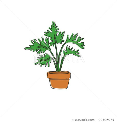 philodendron in the wild Philodendron sp. 'San Martin' Peru Wild Ecotype 3 Leaves (EXACT PLANT) main image 0