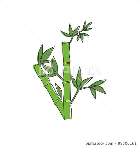 Single continuous line drawing of bamboo trees for plantation logo identity. Fresh evergreen perennial flowering plant concept for plant icon. Modern one line draw graphic design vector illustration 99506161