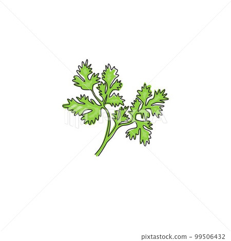 One continuous line drawing of healthy organic coriander leaf for farm logo identity. Fresh Chinese parsley concept for vegetable icon. Modern single line draw design graphic vector illustration One continuous line drawing of healthy organic coriander leaf for farm logo identity. Fresh Chinese parsley concept for vegetable icon. Modern single line draw design graphic vector illustration 99506432