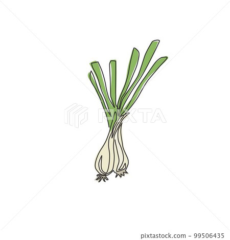 One single line drawing of whole healthy organic leek for plantation logo identity. Fresh ingredient concept for vegetable icon. Modern continuous line draw design vector graphic illustration 99506435