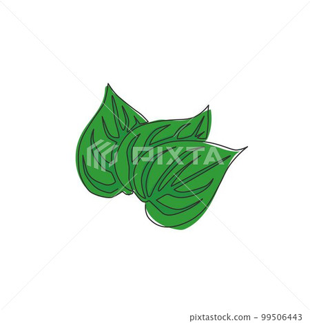 One single line drawing of pile healthy organic betel leaf for farm logo identity. Mouth freshener utility concept for plant icon. Modern continuous line draw design vector graphic illustration One single line drawing of pile healthy organic betel leaf for farm logo identity. Mouth freshener utility concept for plant icon. Modern continuous line draw design vector graphic illustration 99506443