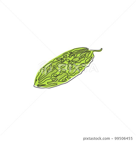 One single line drawing of whole healthy organic bitter gourd for farm logo identity. Fresh bitter melon concept for vegetable icon. Modern continuous line draw design vector graphic illustration 99506455