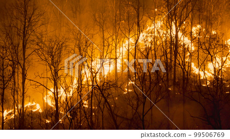 Climate change, Wildfires release carbon dioxide (CO2) emissions and other greenhouse gases (GHG) that contribute to climate change and global warming. 99506769