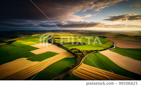 beautiful landscape growing Paddy rice field crop agricultural 99506825