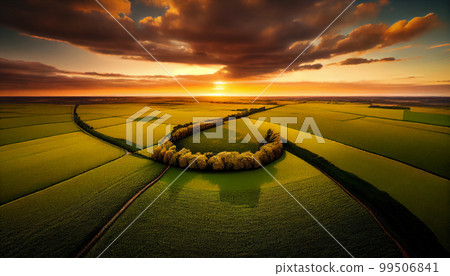 beautiful landscape growing Paddy rice field crop agricultural beautiful landscape growing Paddy rice field crop agricultural 99506841