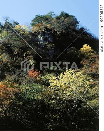 南卷村的紅葉 Part 3 99506842