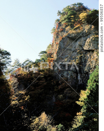 南卷村的紅葉 Part 16 99506857