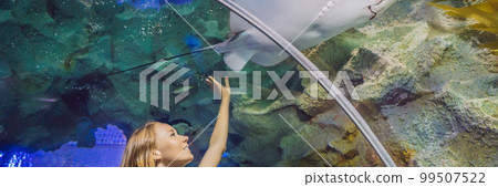 Young woman touches a stingray fish in an oceanarium tunnel BANNER, LONG FORMAT 99507522
