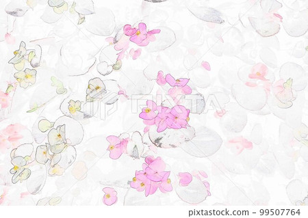 季節性盛開的 Semper Florence Begonia 背景圖 4 99507764