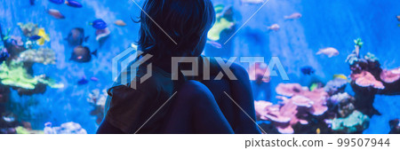 Little boy, kid watching the shoal of fish swimming in oceanarium, children enjoying underwater life in Aquarium BANNER, LONG FORMAT Little boy, kid watching the shoal of fish swimming in oceanarium, children enjoying underwater life in Aquarium BANNER, LONG FORMAT 99507944