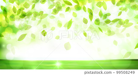 New green leaf sky background 99508249
