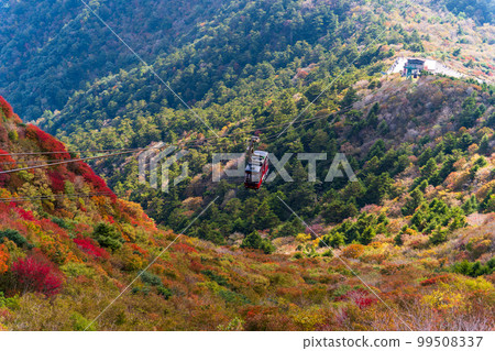 從雲仙仁田峠索道山頂眺望的全景「長崎縣雲仙仁田峠」秋葉清澈的景色 99508337