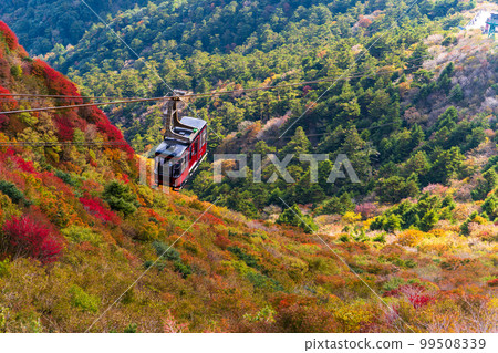 從雲仙仁田峠索道山頂眺望的全景「長崎縣雲仙仁田峠」秋葉清澈的景色 從雲仙仁田峠索道山頂眺望的全景「長崎縣雲仙仁田峠」秋葉清澈的景色 99508339
