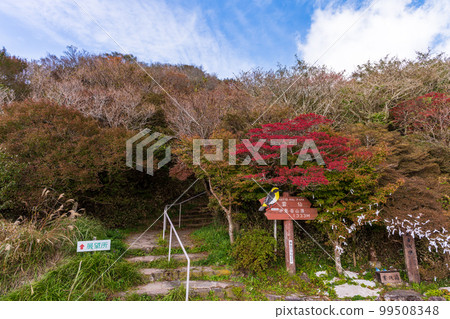 雲仙二田峠索道 山頂周邊風景 ``長崎縣雲仙二田峠'' 清澈的秋葉景色 99508348