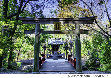 Saitama Prefecture, Saitama City Musashi Ichinomiya Hikawa Shrine, Munakata Shrine Saitama Prefecture, Saitama City Musashi Ichinomiya Hikawa Shrine, Munakata Shrine 99509203