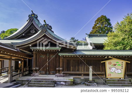 Musashi Ichinomiya Hikawa Shrine, Main Hall, Saitama City, Saitama Prefecture 99509212