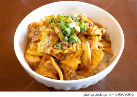 美味的豬肉碗 99509306