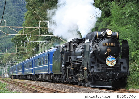 SL Minakami D51 498 + 12系列乘用車 99509740