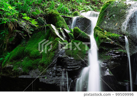 Close-up shot of the upper part of Sarutsubo Falls 1 Shinonsen-cho, Mikata-gun, Hyogo Prefecture 99509996