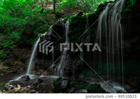 Scenery of Sarutsubo Falls in early autumn 16 Shinonsen-cho, Mikata-gun, Hyogo Prefecture Scenery of Sarutsubo Falls in early autumn 16 Shinonsen-cho, Mikata-gun, Hyogo Prefecture 99510023