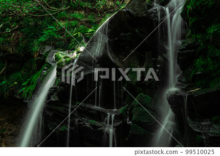 Nikko inserted into the upper part of Sarutsubo Falls 1 Shinonsen-cho, Mikata-gun, Hyogo Prefecture 99510025