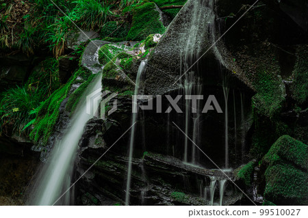 Nikko inserted into the upper part of Sarutsubo Falls 2 Shinonsen-cho, Mikata-gun, Hyogo Prefecture 99510027