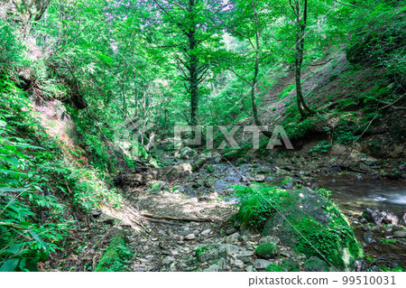 The mountain stream of the Kishida River flowing from Sarutsubo Falls in early autumn 1 Shinonsen Town, Mikata District, Hyogo Prefecture 99510031