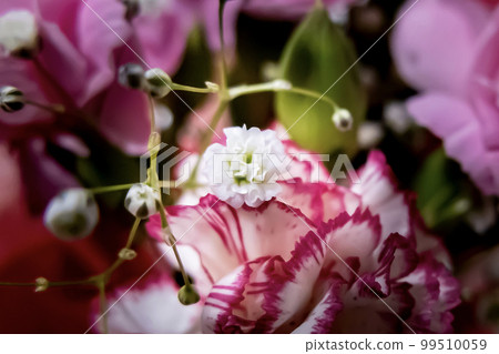 Beautiful flower arrangement closeup Beautiful flower arrangement closeup 99510059