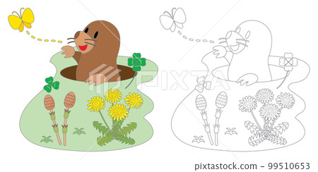 Coloring book with moles and spring flowers Coloring book with moles and spring flowers 99510653