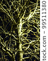 Night's street tree 99511380