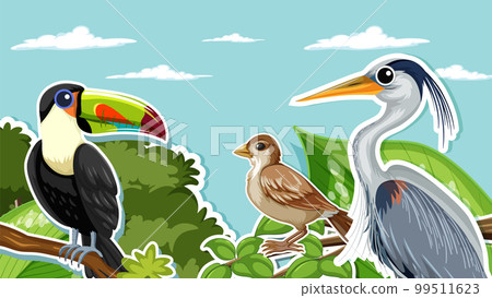 Thumbnail design with different birds Thumbnail design with different birds 99511623