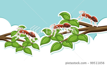 Red ants on tree branches Red ants on tree branches 99511856