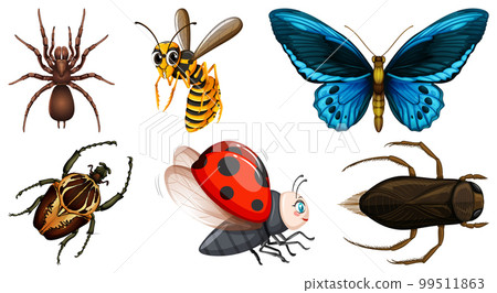 Set of different kinds of insects Set of different kinds of insects 99511863